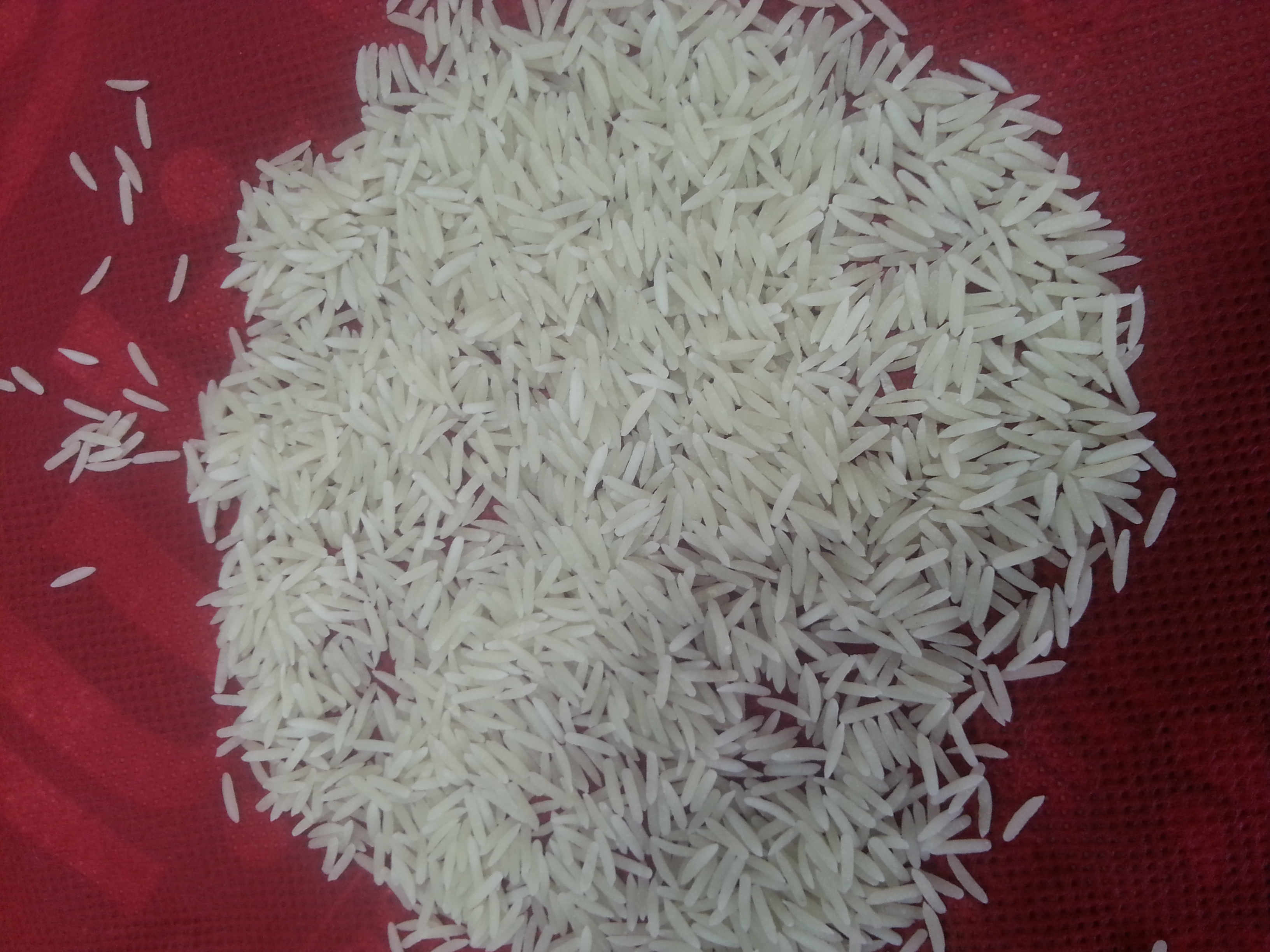 rice 