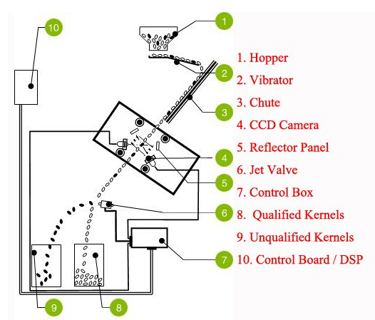 rice color sorter structure.jpg