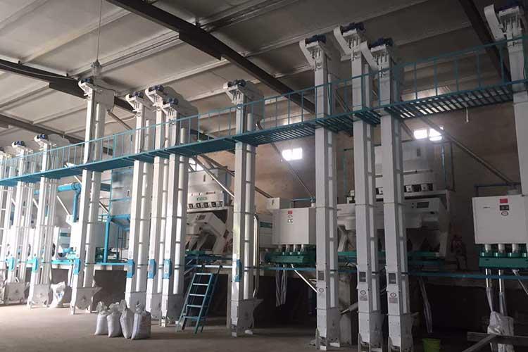 quinoa processing equipment