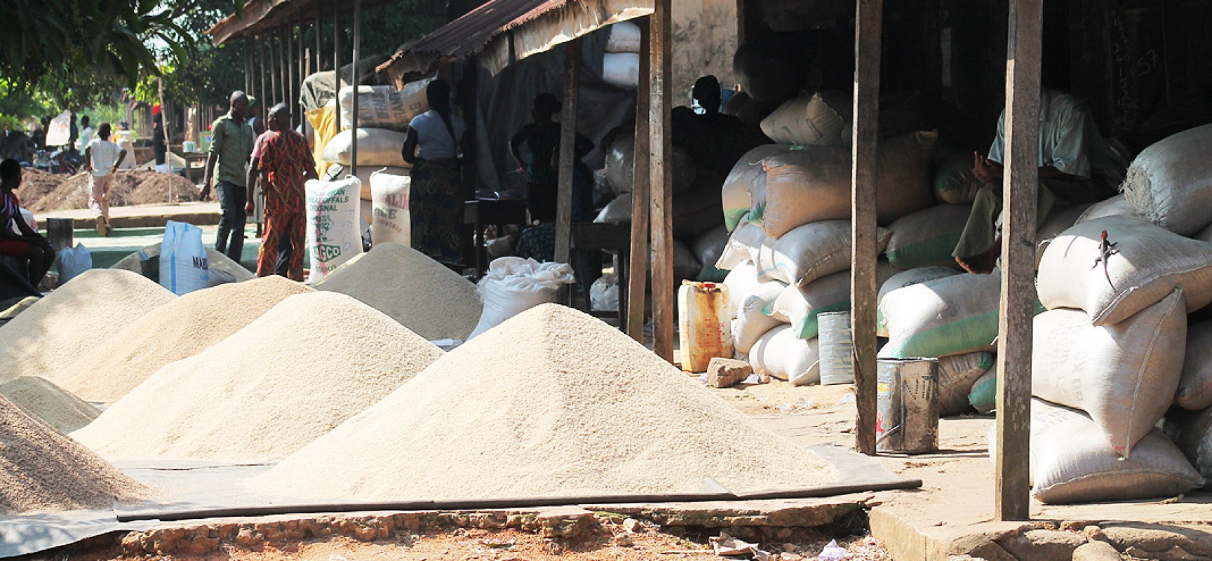 rice milling machine.jpg