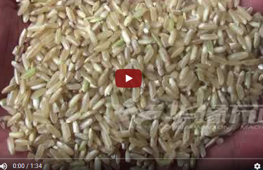 brown rice huller video