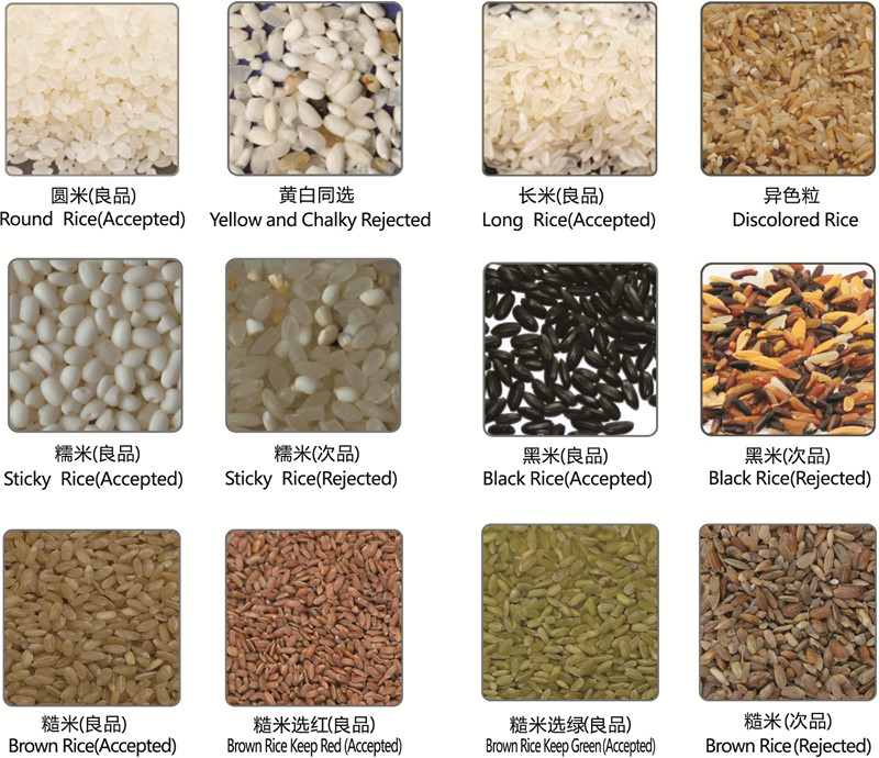 SC-R Series Rice Color Sorting Machine