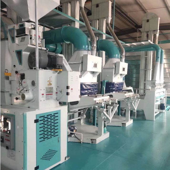 100T/D Complete Set of Rice Mill Plant
