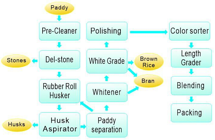 rice processing whole process flow.jpg